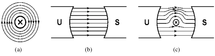 Gambar 2.5 pengaruh penempatan konduktor berarus dalam medan magnet . 