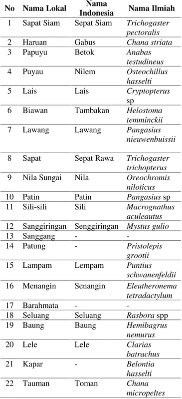 Tabel 2. Jenis  ikan  yang  tertangkap  di perairan Rawa Danau Panggang No Nama Lokal Nama