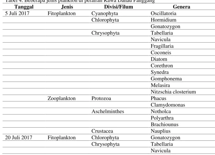 Tabel 4. Beberapa jenis plankton di perairan Rawa Danau Panggang