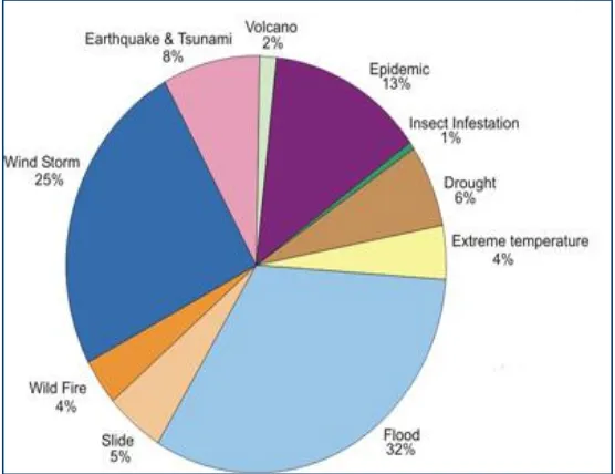Gambar 3. Distribusi Bencana di Dunia 1991-2005 