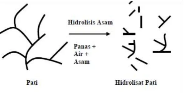 Gambar 6. Mekanisme hidrolisis pati oleh asam 