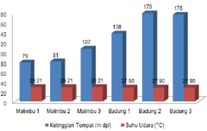 Gambar 2. Hasil Pengukuran Ketinggian Tempat dan Suhu Udara di Malimbu dan Badung  Figure 2