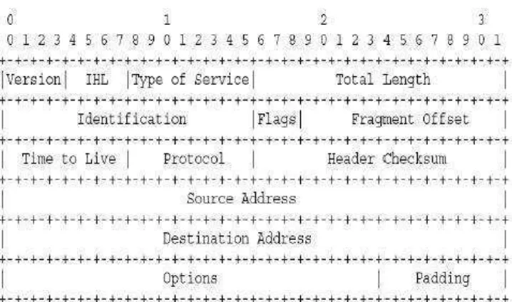 Gambar 2.5 Format Header IPv4 
