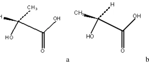 Gambar 2.6 (a) Asam laktat Levorotatory (D (-) Lactic Acid), (b) Asam laktat Dekstrorotary (L (+) Lactic Acid)  Sumber : (Hartman, 1998 dalam Averous, 2008)