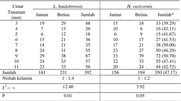 Tabel  1.    Jumlah L. huidobrensis dan H. varicornis yang muncul dari daun   kacang endul  Umur   L