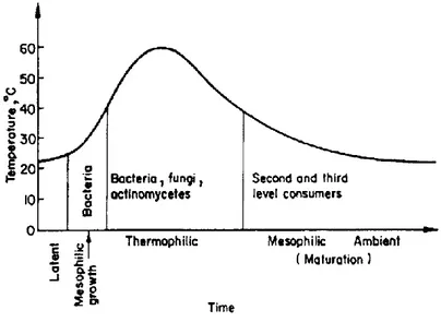 Gambar II.6 Pola perkembangan dan pertumbuhan  mikroorganisme pada pengomposan berdasarkan suhu dan waktu 