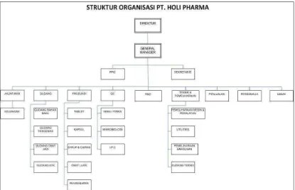 Gambar. 2.1 Struktur Organisasi PT. HOLI PHARMA. 