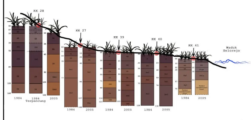 Gambar 1. Perubahan Penampang Tanah dalam 20 Tahun
