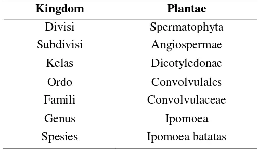 Tabel 2.3 Taksonomi Tanaman  Ubi Jalar Ungu (Ipomoea Batatas Var. Ayumurakasi) 
