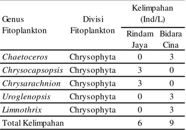 Tabel 5. Keragaman fitoplankton dari divisi  Cyanophyta pada kedua stasiun pengamatan 