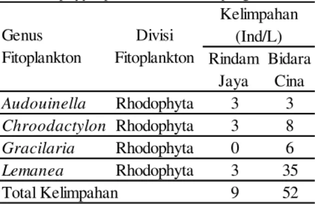 Tabel 7. Keragaman fitoplankton dari divisi  Rhodophyyta pada kedua stasiun pengamatan 