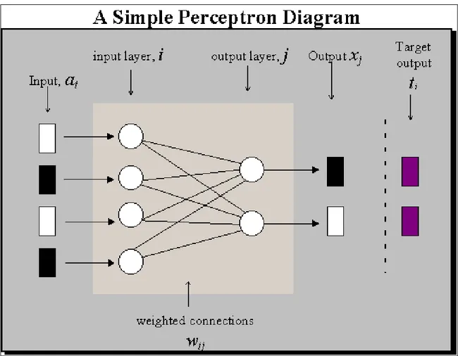 Figure 3.4 Perceptrons (Estebon, 1997) 