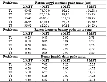 Tabel 4. Pertumbuhan Tanaman Jagung pada perlakuan beberapa dosis biochar tempurungkelapa sawit