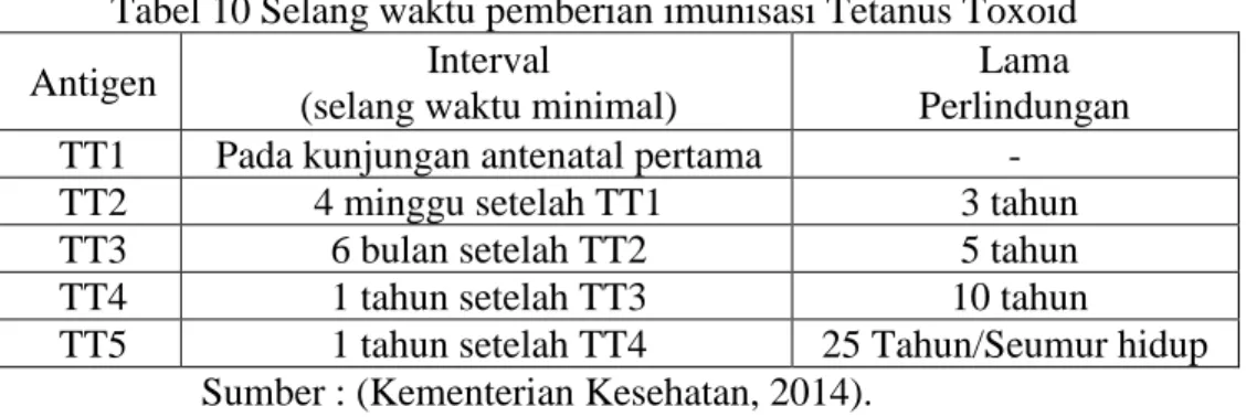 Tabel 10 Selang waktu pemberian imunisasi Tetanus Toxoid  Antigen  Interval 