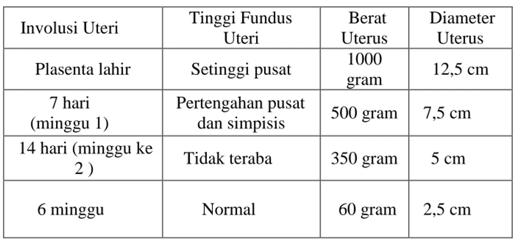 Tabel 2.2  Involusi Uterus  Masa Nifas 