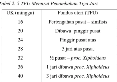 Tabel 2. 5 TFU Menurut Penambahan Tiga Jari  