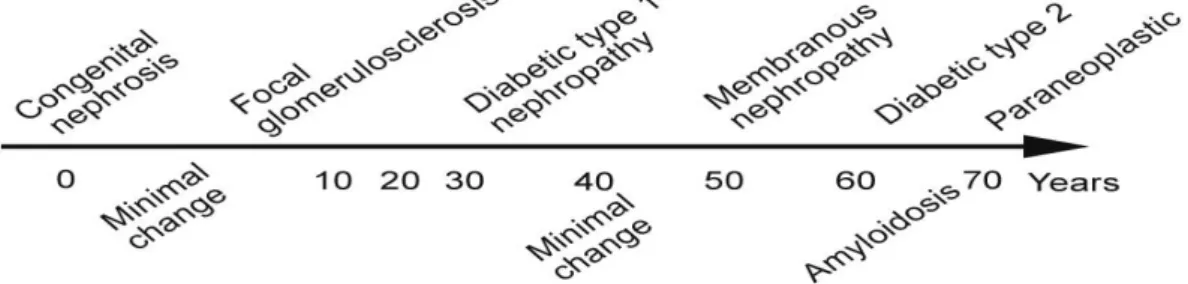 Gambar 1. A Schema of The Average Patient Ages Associated with Various Common Forms of 