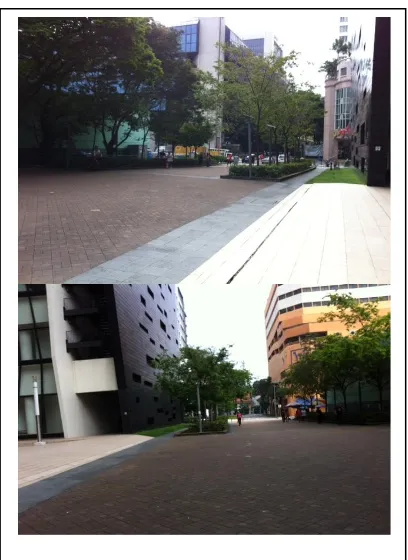 Gambar 8 dan 9: Area pedestrian di area kampus 