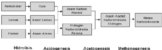 Gambar 1. Langkah utama pada Anaerobic Digestion[2]  Langkah-langkah  proses  dalam  Gambar  1  berjalan  sejajar  dalam  ruang  dan  waktu,  dalam  tangki  digester