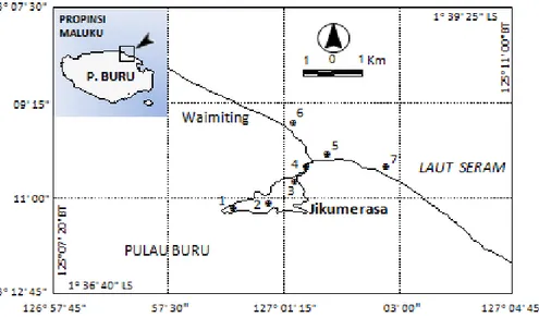Gambar 1. Peta lokasi penelitian di perairan Jikumerasa, Pulau Buru. 
