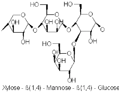 Gambar 3. Struktur Molekul Hemiselulosa 