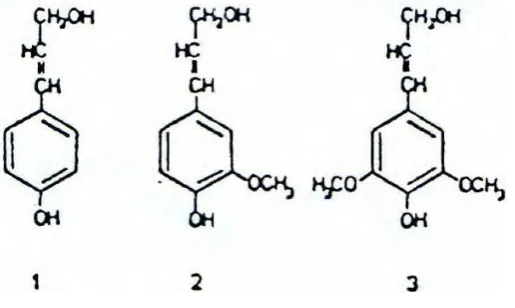 Gambar 4. Unit-unit penyusun lignin : 