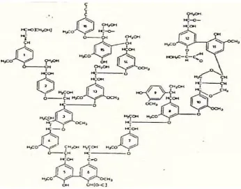 Gambar 5. Struktur Molekul Lignin  
