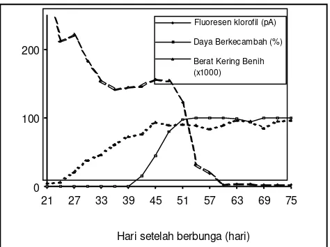 Gambar 1.  Maksimum daya berkecambah dan berat kering benih terjadi saat fluoresen  dari klorofil benih mencapai minimum (Suhartanto, 2002)