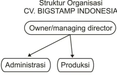 Gambar  II.2. Struktur organisasi pusat BIGSTAMP   