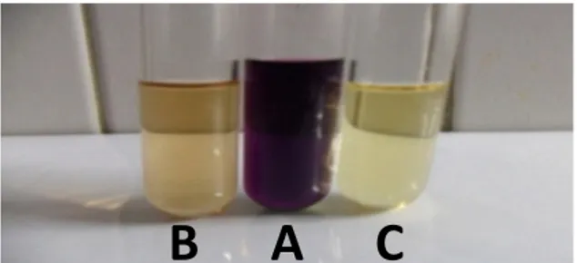 Gambar 1. Hasil uji pendahuluan aktivitas antioksidan  (A = kontrol negatif [blanko], B = larutan uji  [fraksi etil asetat ekstrak etanol daun benalu]+DPPH, 