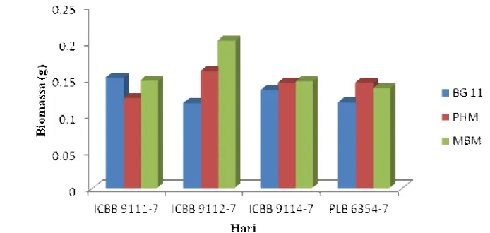 Gambar 4 kecepatan pertumbuhan pada media BG 11 yang paling tinggi pada isolat ICBB 9111 adalah 0,152 g-biomassa/hari