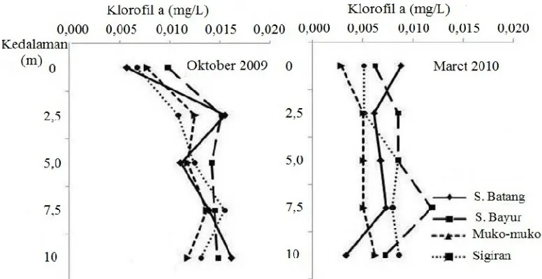 Gambar 3.  Profil vertikal kelimpahan klorofil a di wilayah KJA Danau Maninjau