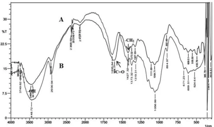 Gambar 4. Spektra FTIR CMC (A) dan selulosa pelepah kelapa sawit (B)  