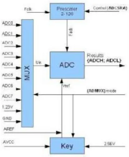 Gambar 2.3 Blok diagram sistem ADC[6] 