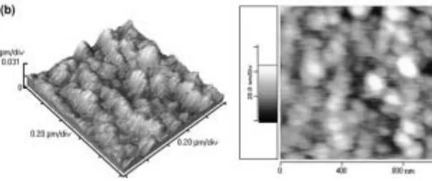Gambar 3a. Menunjukkan partikel kaca yang dikelilingi oleh matriks polimer porus. 23