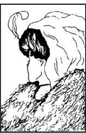 Figure 2. A face of a young lady or a face of an old lady? 2