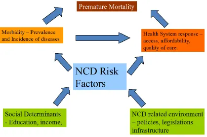 Figure 1. Causal Framework of NCDs 