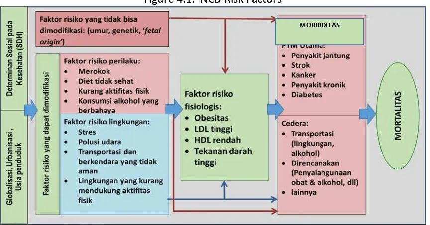 Figure 4.1.  NCD Risk Factors  