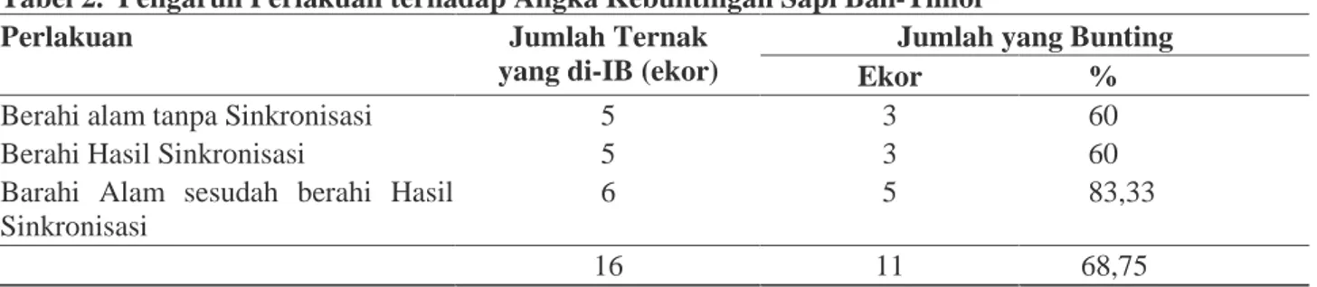 Tabel 2.  Pengaruh Perlakuan terhadap Angka Kebuntingan Sapi Bali-Timor