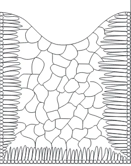 Figure 2.5Chill-cast ingot structure.