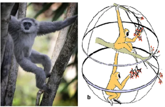 Gambar 1. Owa Jawa (Hylobates moloch) merupakan primata arboreal 