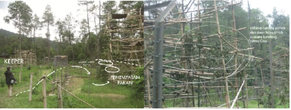 Gambar 2. Skema pemberian pakan di kandang atap terbuka (open-top) dan percabangan pohon yang ditambahkan di suasana enclosure