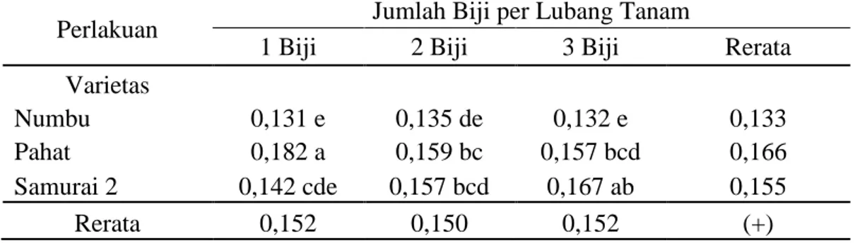Tabel 9 menunjukkan rerata panjang akar tertinggi dicapai pada perlakuan  1 biji per lubang tanam  dengan menggunakan varietas Samurai 2 dan terendah 3  biji per lubang tanam dengan menggunakan varietas Pahat