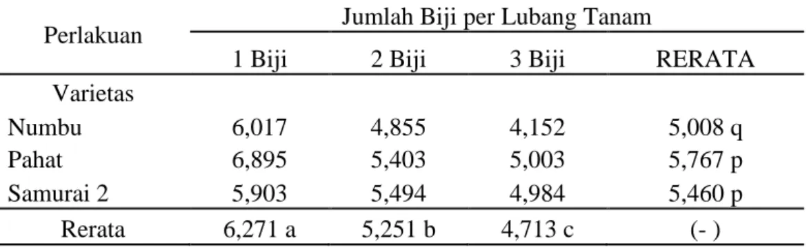 Tabel  6  menunjukkan  bahwa  perlakuan  1  biji  per  lubang  tanam  dengan  varietas  Numbu  menghasilkan  berat  seluruh  tanaman  tertinggi  yaitu  349,167  gram,  dan  terendah  pada  perlakuan  3  biji  per  lubang  tanam  dengan  varietas  Samurai 2
