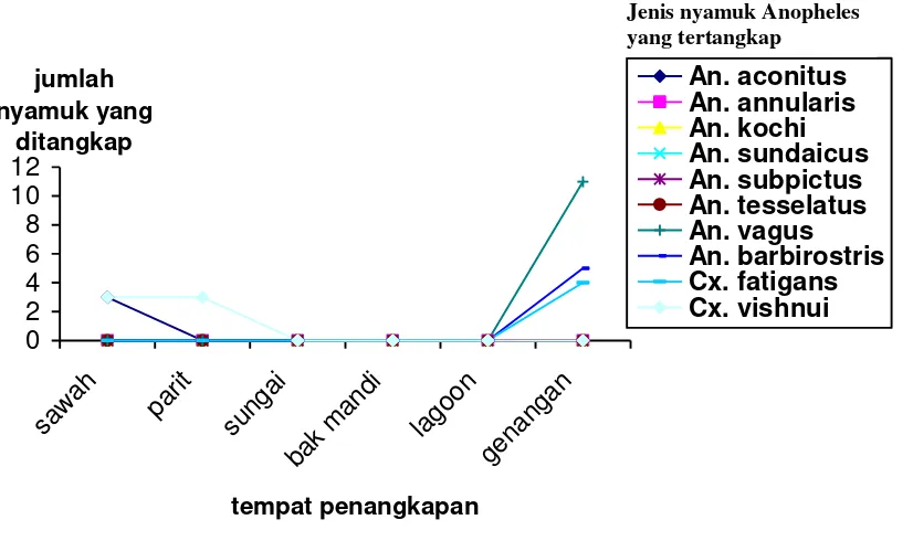 Gambar 6. Jumlah larva AnophelesKebumen, Jawa Tengah yang ditangkap berdasarkan tempat perindukan di Ayah, Kabupatem   