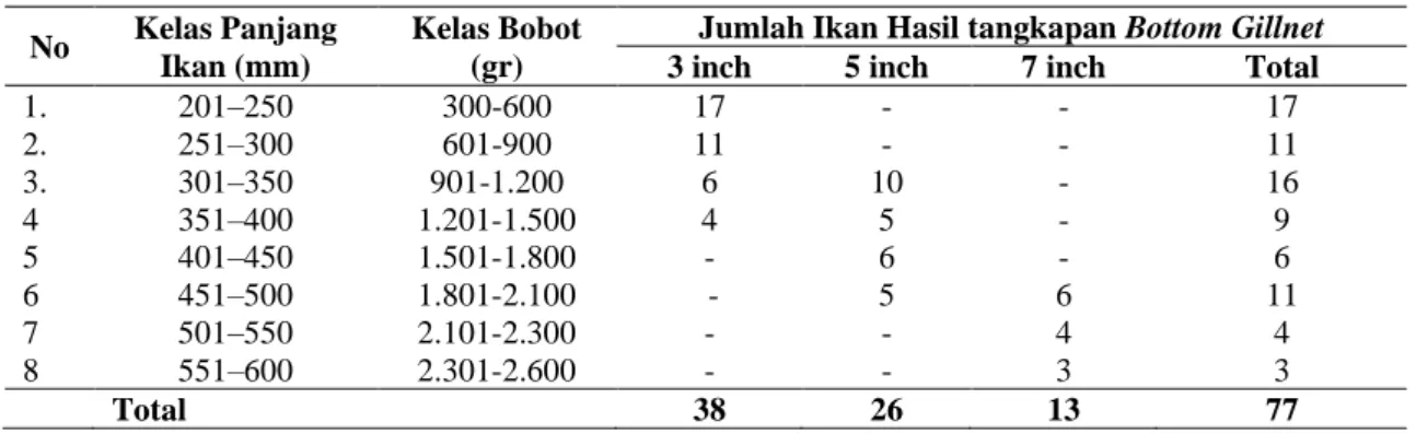 Tabel 1.  Jumlah ikan kakap putih pada kelas panjang total yang tertangkap pada gillnet mesh size 3, 5, dan   7 inchi di perairan ekosistem mangrove pesisir daratan utama Kabupaten Pangkep