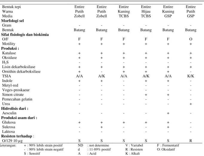 Tabel 5.  Hasil Karakterisasi Uji Morfologi dan Biokimia pada Isolat SJ.D 2 sebagai Agensia Penyebab Penyakit  pada Kepiting Bakau (S .paramamosain) yang Berasal dari Demak 