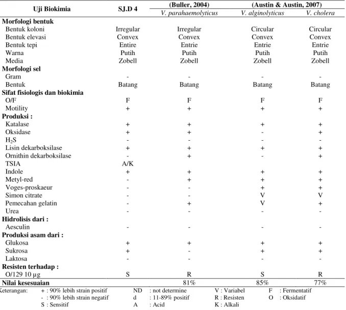 Tabel  7.  Hasil  Karakterisasi  Uji  Morfologi  dan  Biokimia  pada  Isolat  SJ.D  9  sebagai  Agensia  Penyebab  Penyakit  pada Kepiting Bakau (S