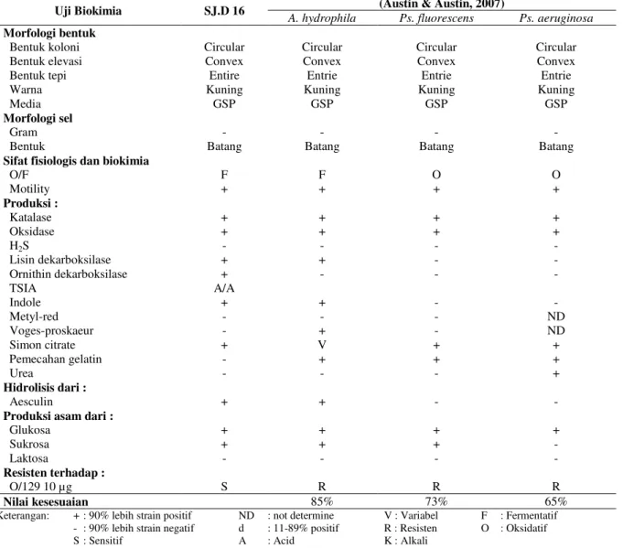 Tabel 10. Hasil Karakterisasi Uji Morfologi dan Biokimia pada Isolat SJ.D 17 sebagai Agensia Penyebab Penyakit  pada Kepiting Bakau (S
