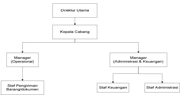 Gambar 3.1 Struktur Organisasi PT. Pahala Express Delivery Di Kantor